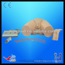 HOT SALES Electronic training model for Urethral Catheterization and Enema simulator